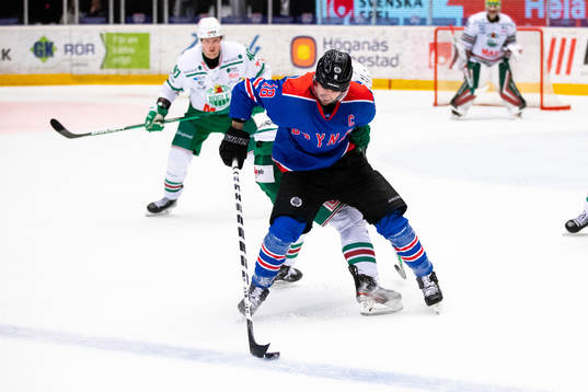Brynäs Anton Rödin