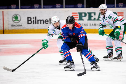 Brynäs Tomi Sallinen