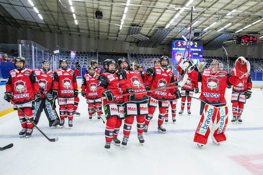 Malmö Redhawks spelare jublar