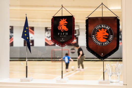 Vimplar i ett fönster ut mot A-hallen i FIFH-hallen