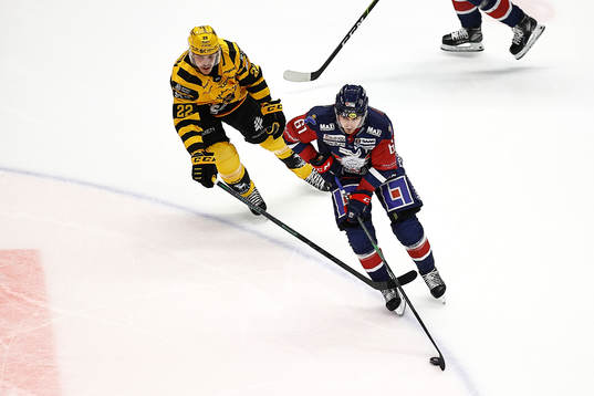 Skellefteås Jonathan Johnson och Linköpings Markus Ljungh