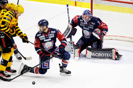 Linköpings Craig Shira och målvakt Marcus Högberg