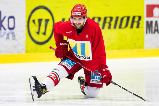 Modos Emil Wahlberg