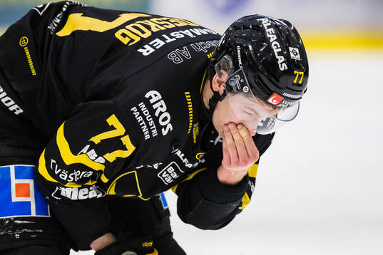 Västerås Ludvig Jardeskog