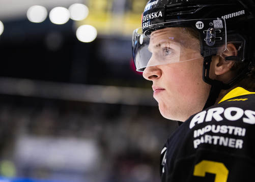 Västerås Ludvig Östman