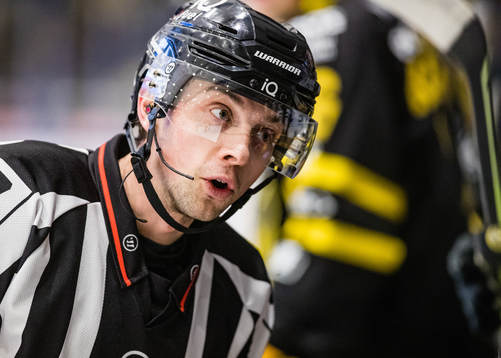 Domare Johan Wedin