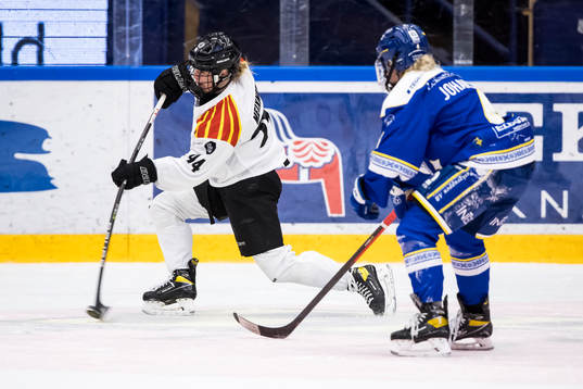 Brynäs Anna Meixner