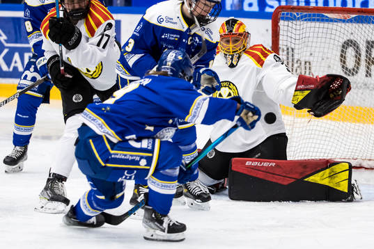 Brynäs målvakt Ellen Johnsson