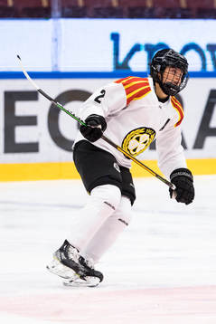 Brynäs Maja Nylén Persson