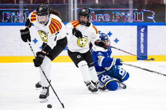 Brynäs Rosa Lindstedt