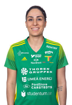 Thorengruppens Parva Zarassi