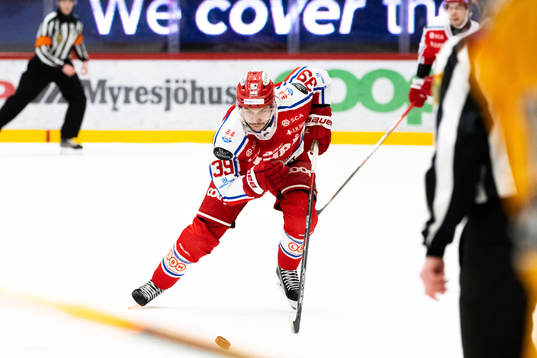 Timrås Ty Rattie