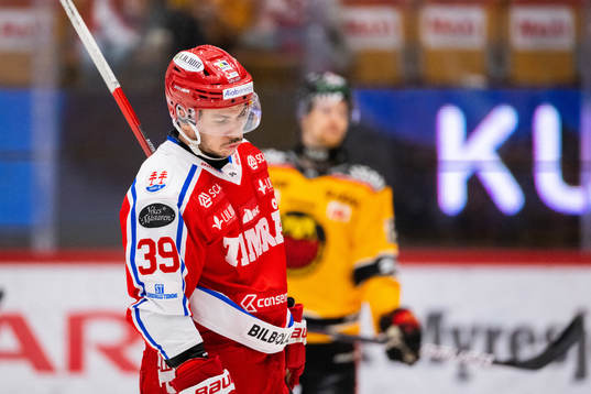Timrås Ty Rattie deppar