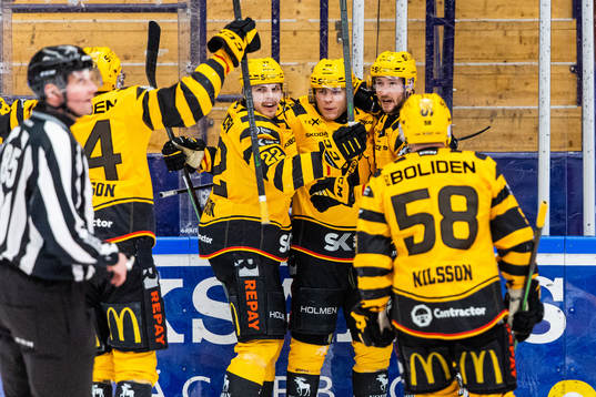 Skellefteås Rickard Hugg  jublar