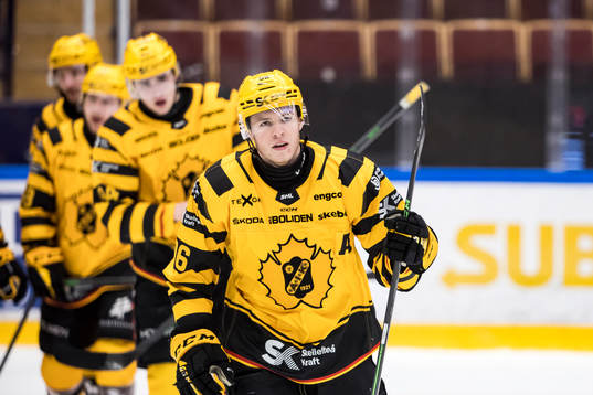 Skellefteås Rickard Hugg jubel