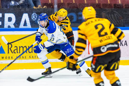 Leksands Mikael Ruohomaa och Skellefteås Linus Lindström