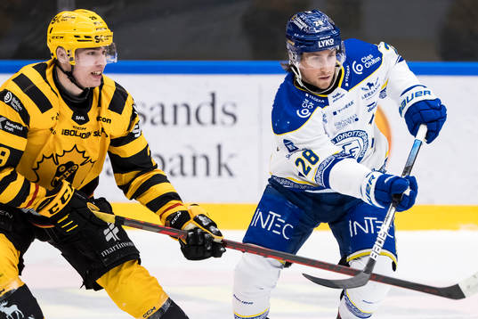 Skellefteås Albin Sundsvik och Leksands Justin Kloos