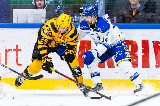 Skellefteås Albin Sundsvik och Leksands Oskar Lang