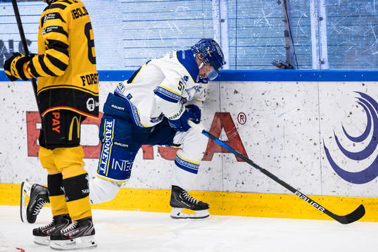 Leksands Jonas Ahnelöv