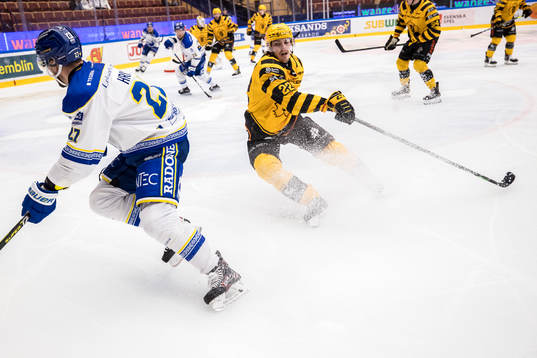 Leksands Marek Hrivik och Skellefteås Jonathan Johnsson
