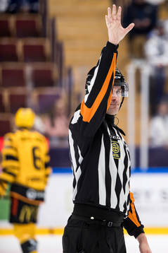 Domare Richard Magnusson