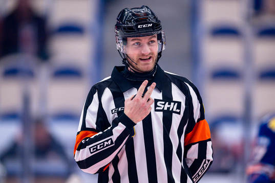 Domare Daniel Eriksson