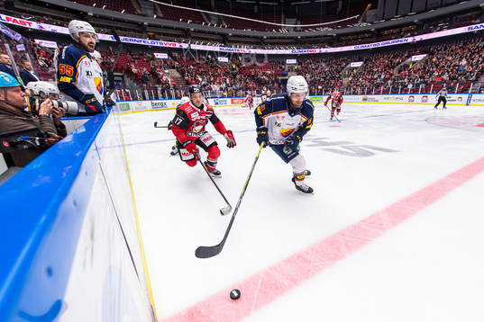 Malmö Redhawks Pathrik Westerholm och Djurgårdens