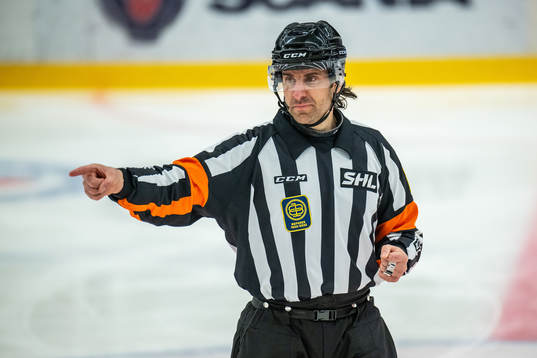 Domare Mikael Sjöqvist