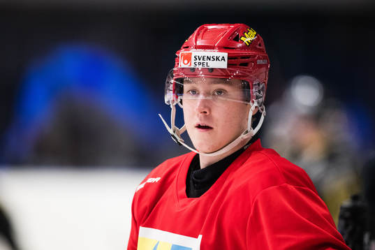 Modos Filip Hasa