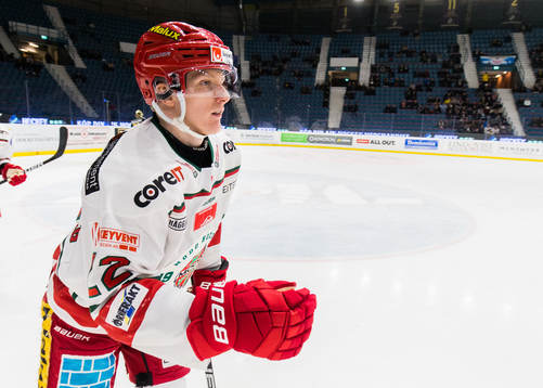 Modos Daniel Mannberg jublar