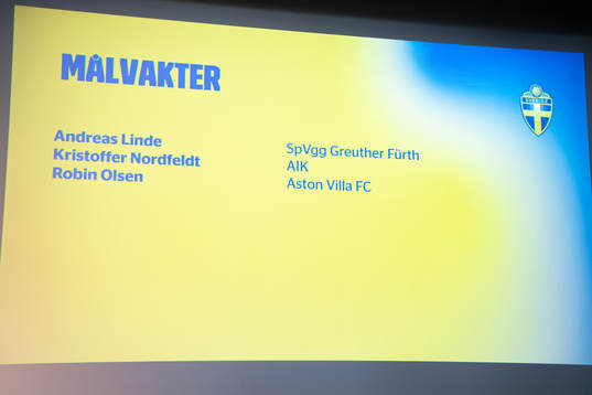 Head coach Janne Andersson of the Swedish national football