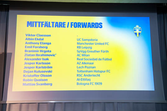 Head coach Janne Andersson of the Swedish national football