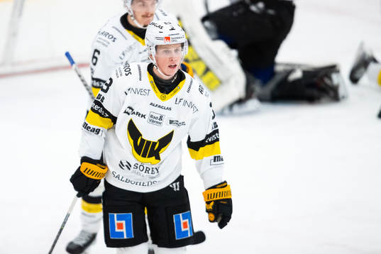 Västerås Ludvig Östman deppar