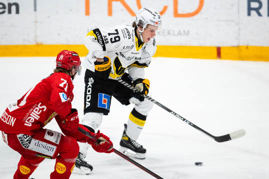 Västerås Gabriel Kangas