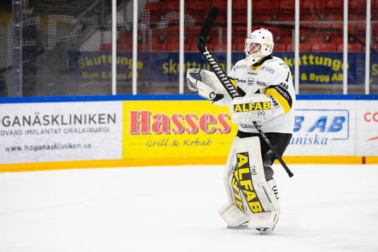 under ishockeymatchen i Hockeyallsvenskan mellan Almtuna