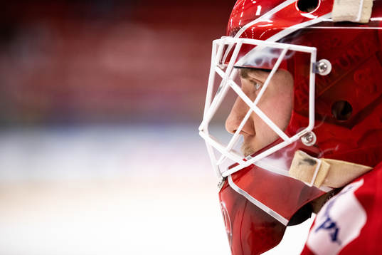 under ishockeymatchen i Hockeyallsvenskan mellan Almtuna