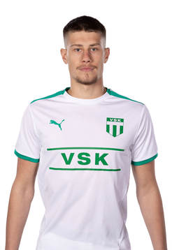 Västerås Viktor Steen