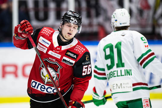 Malmö Redhawks Anton Olsson deppar