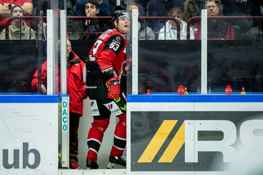 Malmö Redhawks Fredrik Händemark blir utvisad