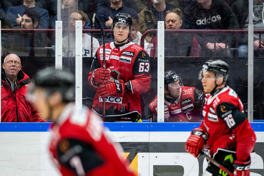 Malmö Redhawks Fredrik Händemark  deppar