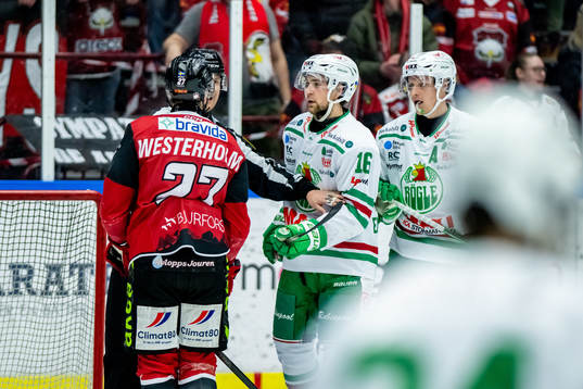 Malmö Redhawks Ponthus Westerholm och Rögles Lucas