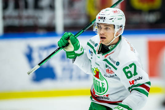 Rögles Leon Bristedt