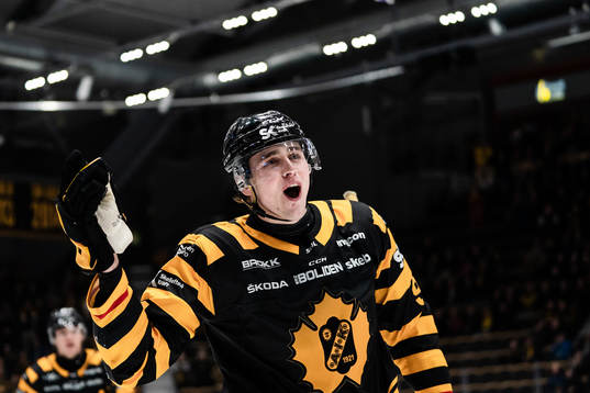 Bläddra bland fler bilder av Ishockey, SHL, Skellefteå - Leksand