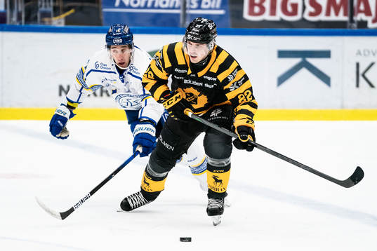 Leksands Max Veronneau och Skellefteås Jonathan Johnson
