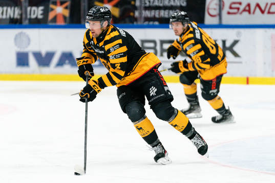 Skellefteås Michael Kapla