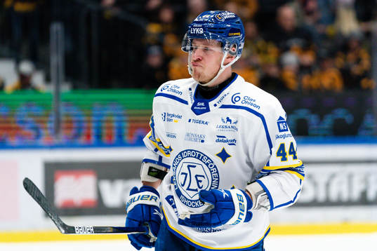 Leksands Carter Ashton