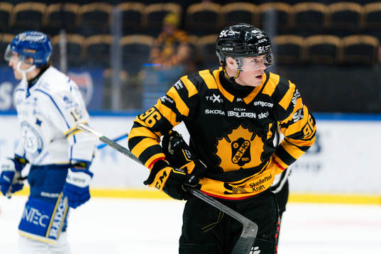 Skellefteås Rickard Hugg
