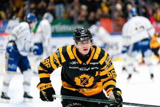 Skellefteås Rickard Hugg