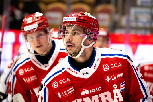 Timrås Ty Rattie
