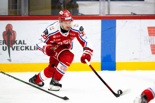 Timrås Ty Rattie